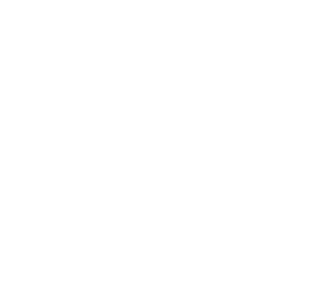 Ladder Icon